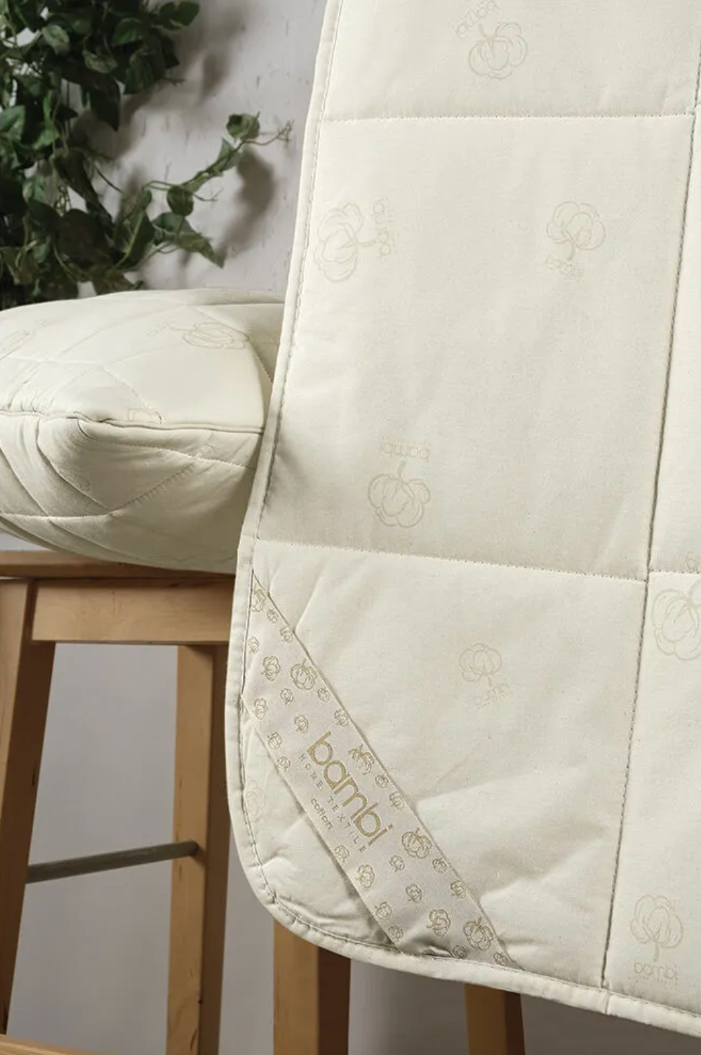 Cotton - Blanket