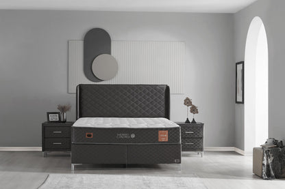 Thermo Control - Mattress
